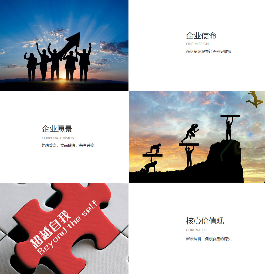 6165金沙官方入口(图1)